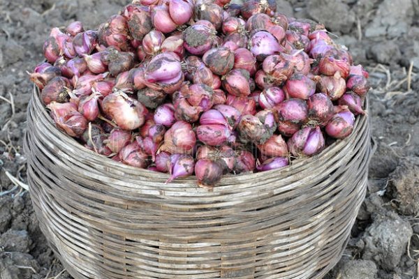 Darknet ссылка кракен kraken014 com